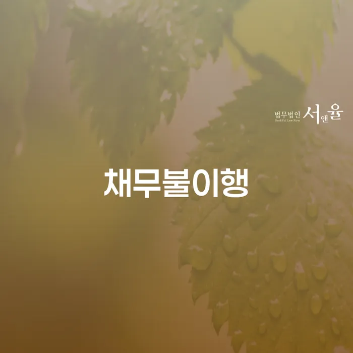 채무자대리인 대출 연체 개인회생 최선의 선택
