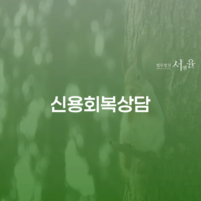 파산법무사 빚 합법적인 빠른방법 조건확인 하고