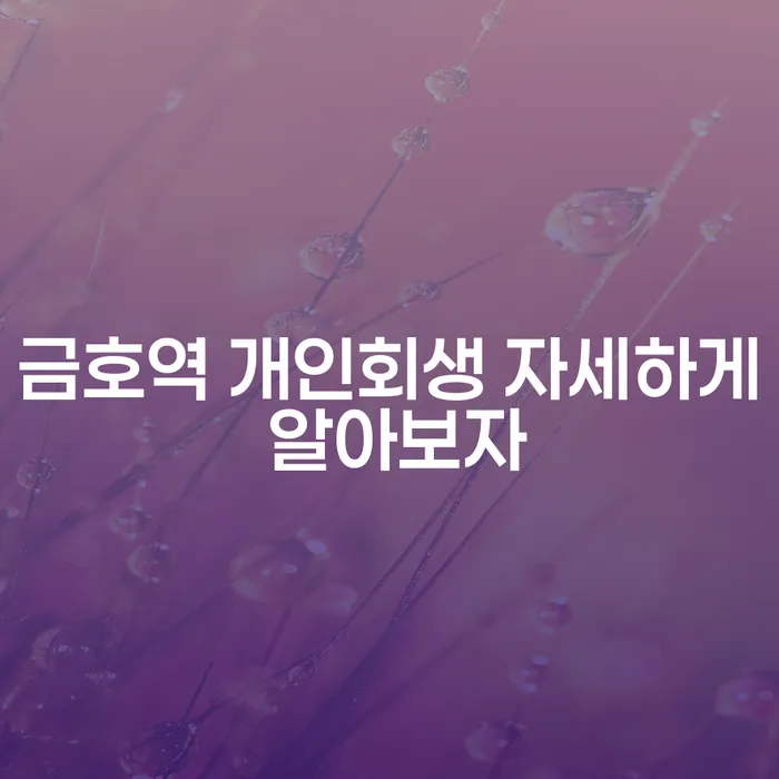 금호역 개인회생 자세하게 알아보자