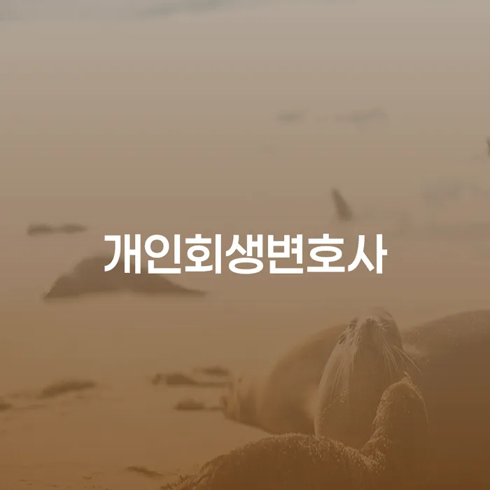 사당1동 개인회생변호사와 함께하는 성공적인 채무 해결