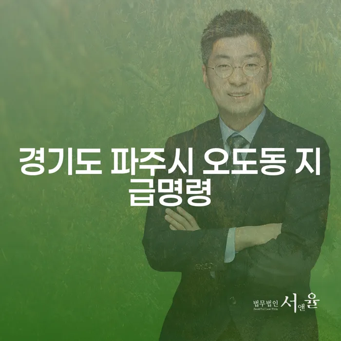 경기도 파주시 오도동에서 지급명령이 내려졌을 때, 개인회생과 파산은 어떻게 준비해야 할까요?