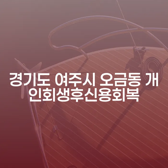 경기도 여주시 오금동에서 개인회생 후 신용회복, 대출 6억원 문제 해결 방법은?