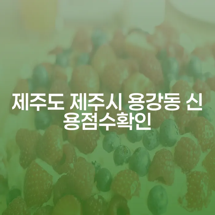 제주도 제주시 용강동에서 신용점수 확인과 투자 실패 후 개인회생, 가능한가요?