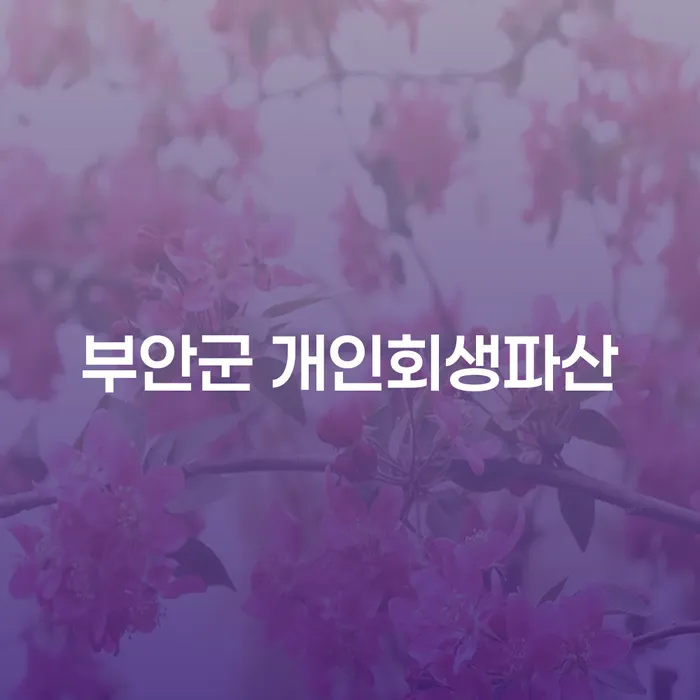 부안군과 영월군에서 개인회생과 파산을 신청하려면 어떻게 해야 할까요?